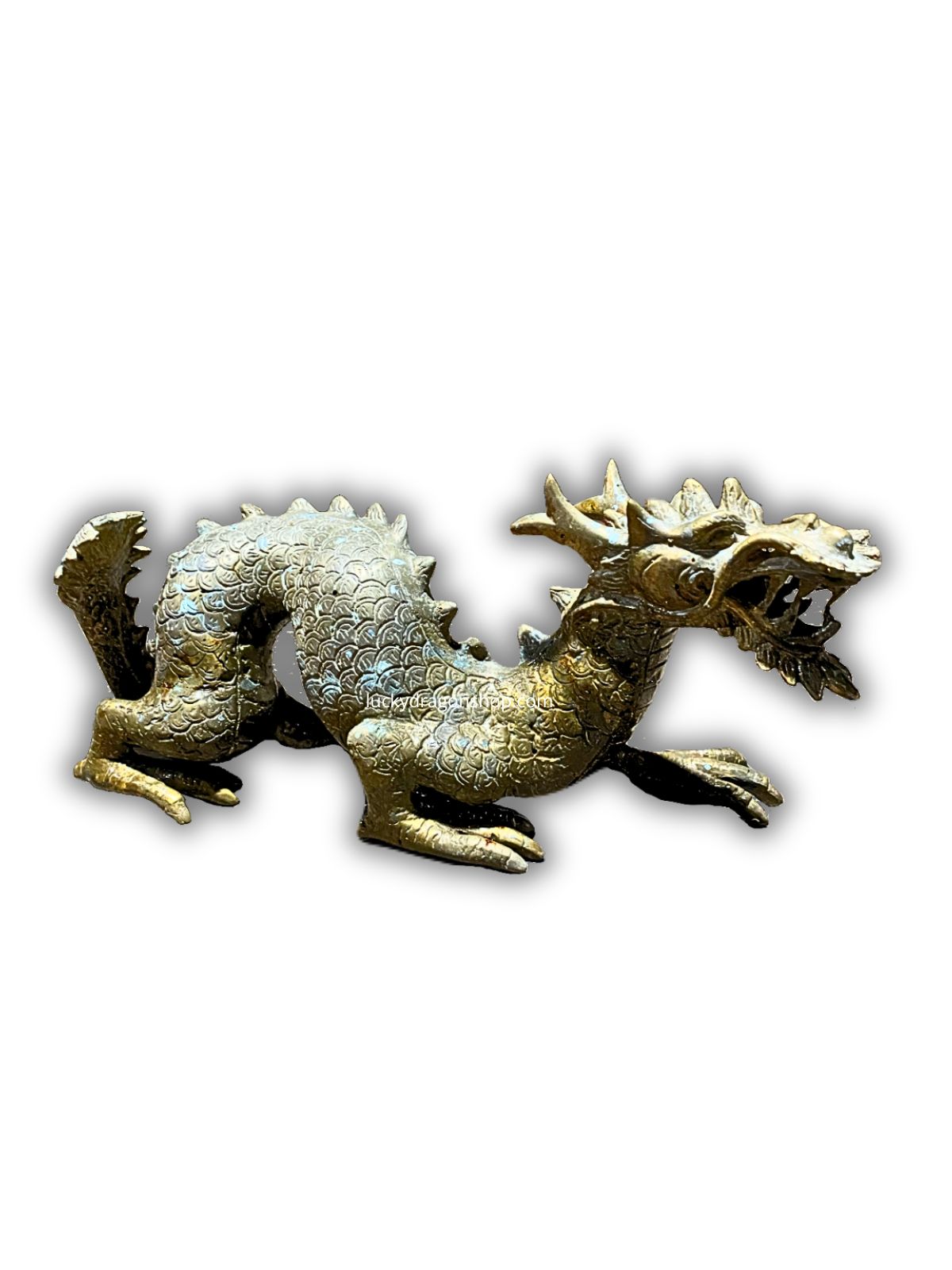Dragon Shield