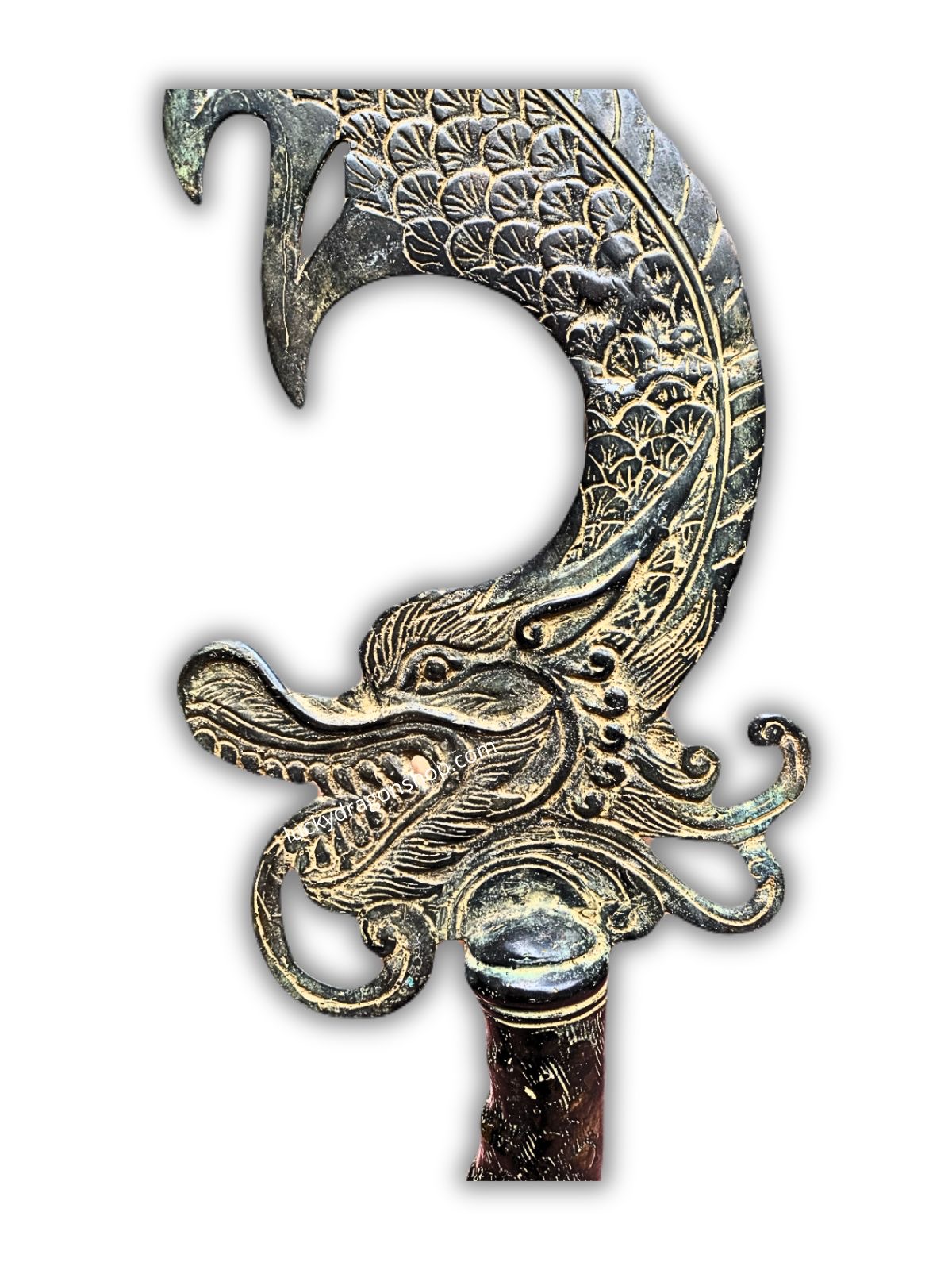 DRAGON OF SUCCESS - Image 8