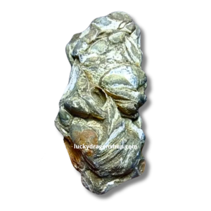 DRAGON EGG FOSSIL
