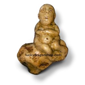BABY BAJANG FOSSIL FOR BUSINESS